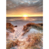 Sandy Beach At Dawn, Landscape Paint By Numbers